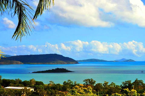 Yachtsmans Paradise, Whitsundays - Accommodation Bookings 0
