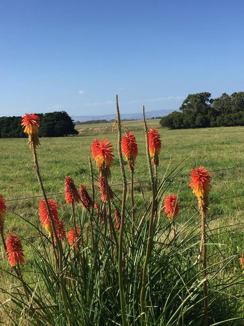 Yanakie Holiday House - Accommodation Bookings 2