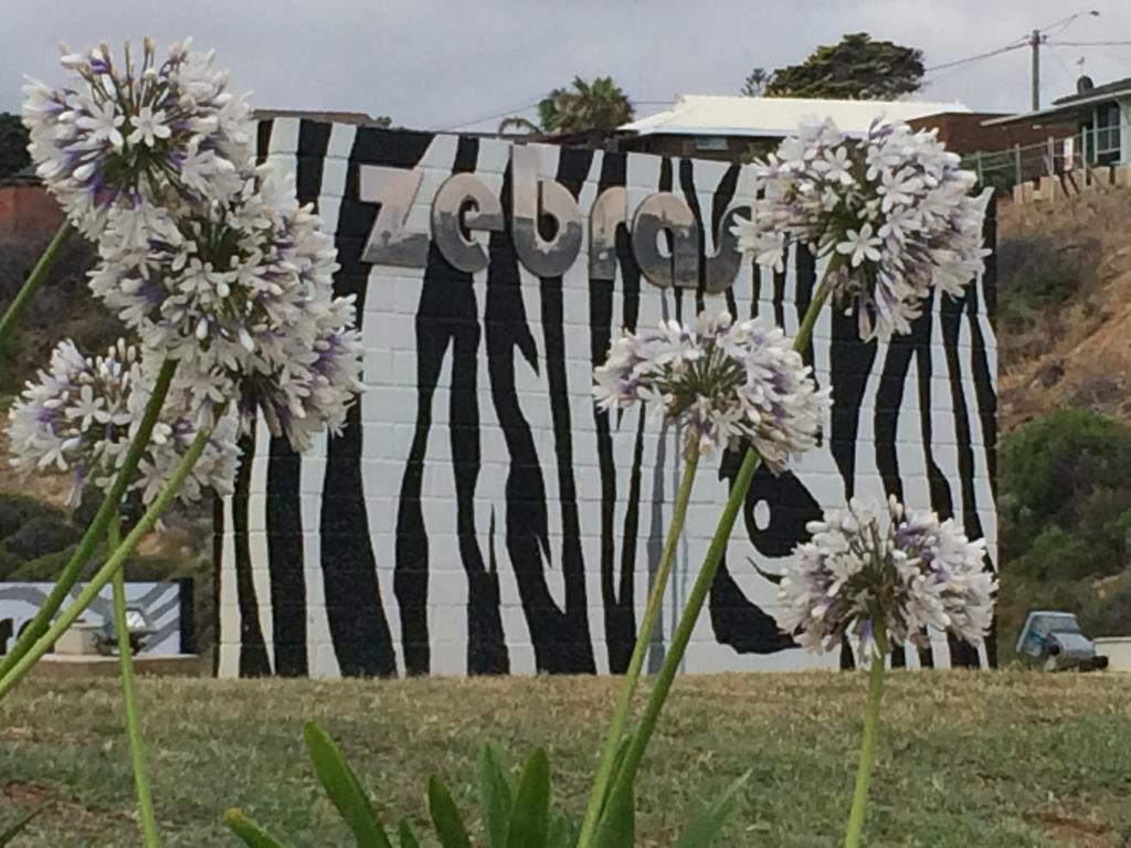  Accommodation Bookings