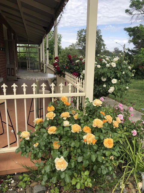 Zen Garde - Accommodation Bookings 1
