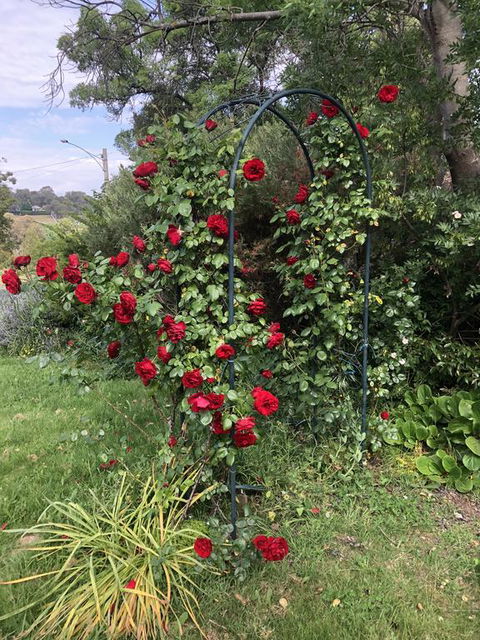Zen Garde - Accommodation Bookings 2