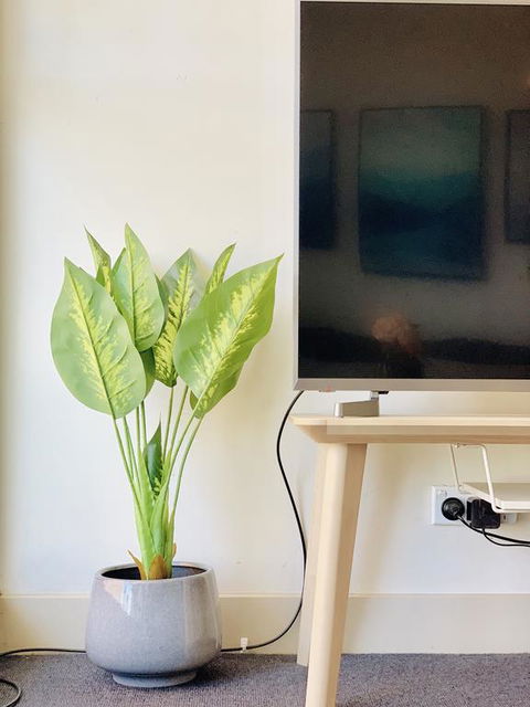 ZEN Homes On Collins - Accommodation Bookings 3