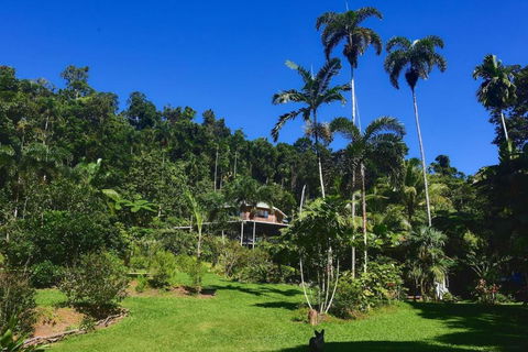 A Daintree Garden - Accommodation Bookings 0