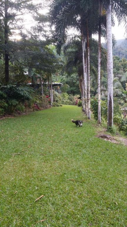 A Daintree Garden - Accommodation Bookings 1