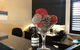 Abbotsleigh Motor Inn - thumb 1