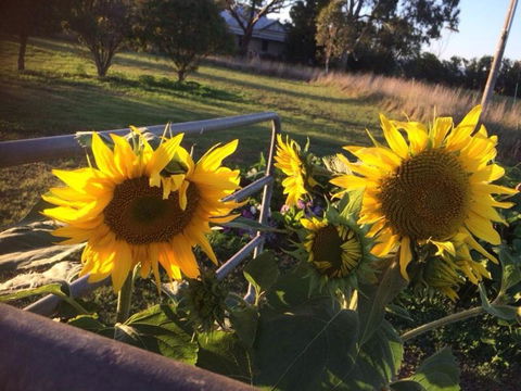 Abington Farm B & B - Accommodation Bookings 4