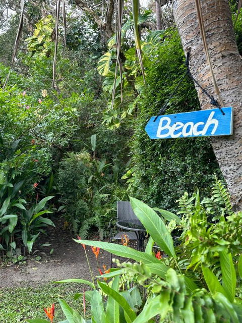 Absolute Beach Front Home -Dogs, Surf, Relax, Bush - Accommodation Bookings 2