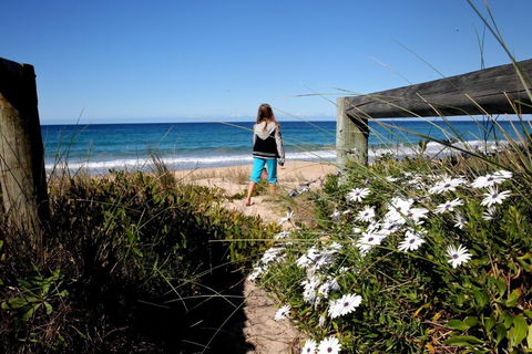Absolute Beachfront Mollymook - Accommodation Bookings 4