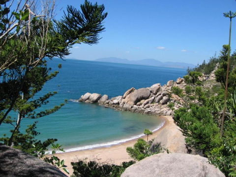 AFFORDABLE ISLAND ESCAPE! Queen Studio, Nelly Bay - Accommodation Bookings 3