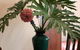Albany Foreshore Guest House - thumb 2
