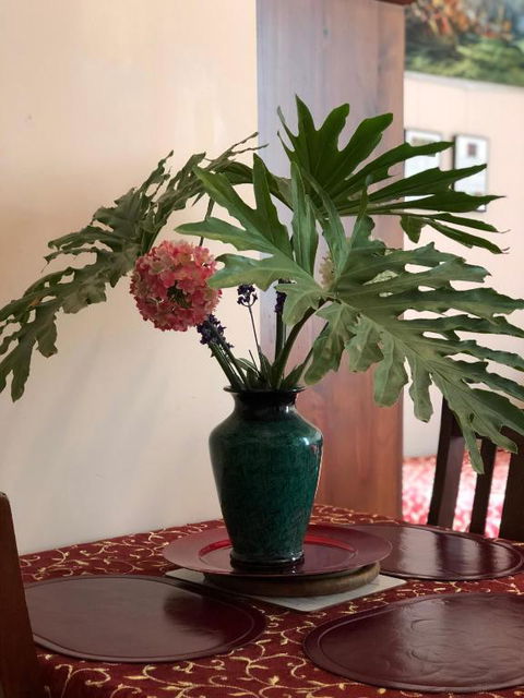Albany Foreshore Guest House - Accommodation Bookings 2