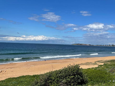 Albemarle On The Beach - Accommodation Bookings 3