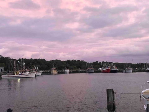 Aloha Iluka! - Accommodation Bookings 1