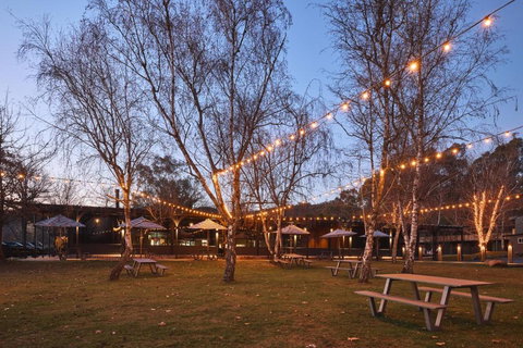 Alpine Inn - Accommodation Bookings 4