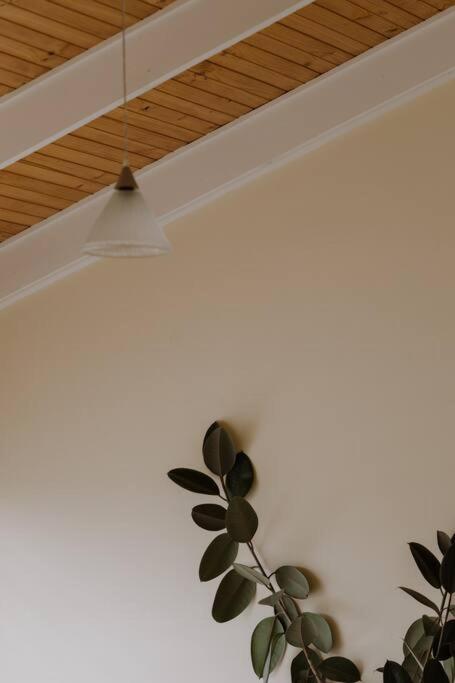 Amarela Haus - Calming Retreat Within Oceans Reach - Accommodation Bookings 1