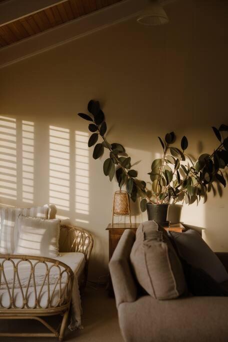 Amarela Haus - Calming Retreat Within Oceans Reach - Accommodation Bookings 2