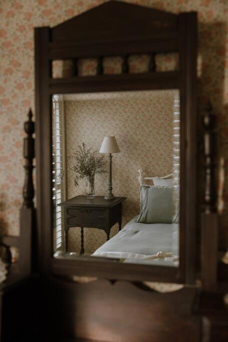Amarela Haus - Calming Retreat Within Oceans Reach - Accommodation Bookings 3