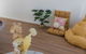 Amazing 4 Rooms House Near SpringField Lakes - thumb 1