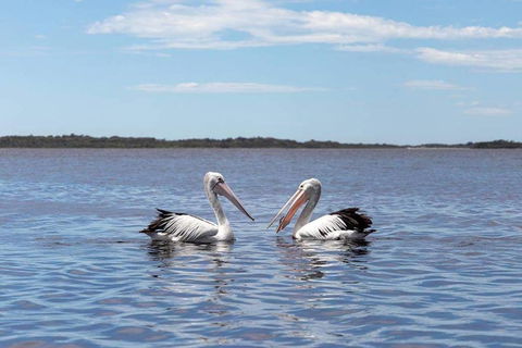 Amazing Ansons Bay Remote Paradise For The Family In The Bay Of Fires Area - Accommodation Bookings 2