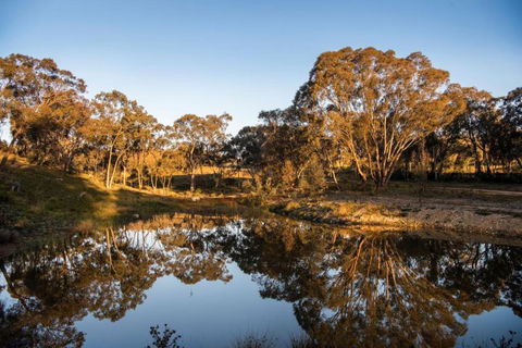 Amethyst - 1 Bed With Hot Tub - Kundalini Lodge - Accommodation Bookings 3