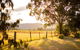 Among The Vines - thumb 2