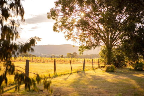 Among The Vines - Accommodation Bookings 2