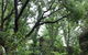 Ananda Cottage - thumb 0