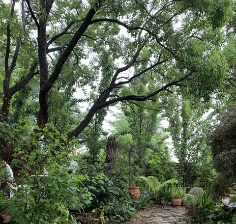Ananda Cottage - Accommodation Bookings 0