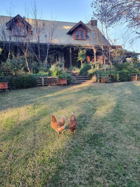 Angaston By The Winter Creek - Accommodation Bookings 0