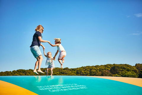 Anglesea Family Caravan Park - Accommodation Bookings 3
