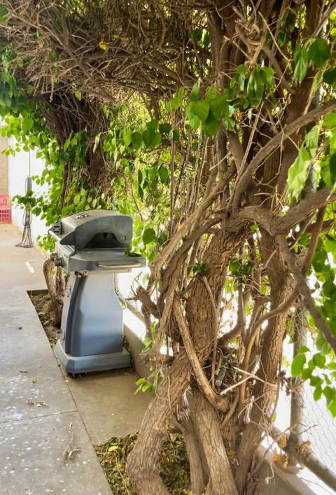Argent Abode CBD - Accommodation Bookings 1