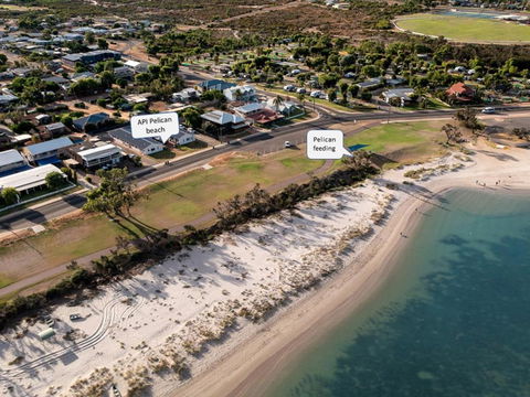 API Pelican Beach Front Apartments Kalbarri - Accommodation Bookings 1