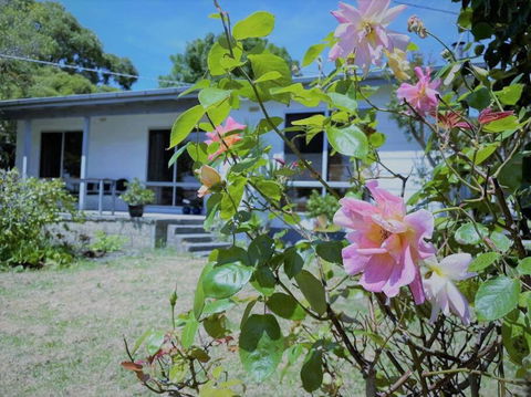 Apollo Bay Holiday House - Accommodation Bookings 1