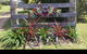 ARALUEN - COOMBA BAY - Pet Friendly - Farm Stay On 10 Peaceful Acres - thumb 4