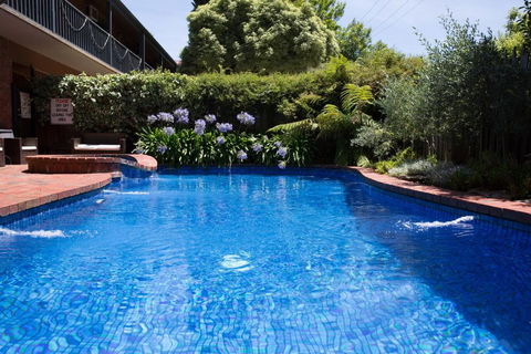 Armour Motor Inn - Accommodation Bookings 3