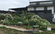 Art House - thumb 0