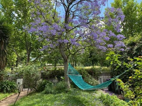 Art House On The Park - Accommodation Bookings 4