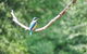 Avalon River Retreat - 400 Acre Riverside Oasis - thumb 1