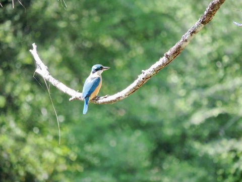 Avalon River Retreat - 400 Acre Riverside Oasis - Accommodation Bookings 1