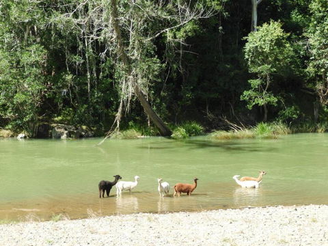 Avalon River Retreat - 400 Acre Riverside Oasis - Accommodation Bookings 4
