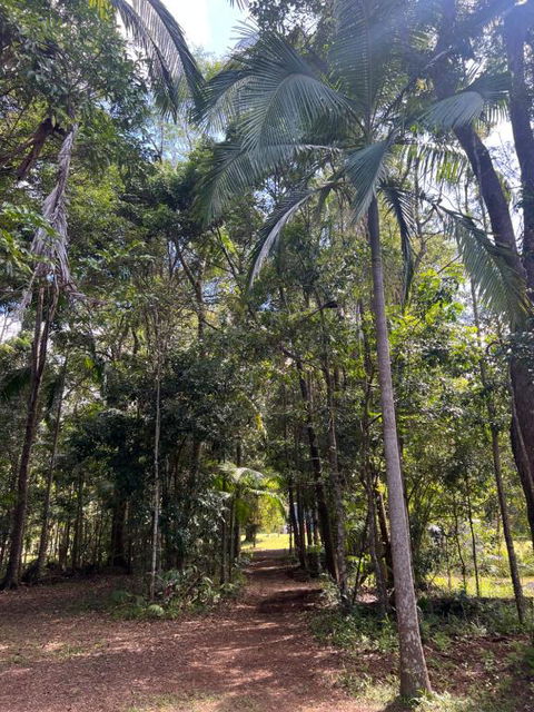 Avana Byron Apartment - Accommodation Bookings 4