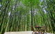 Azabu Retreat & Spa - thumb 1