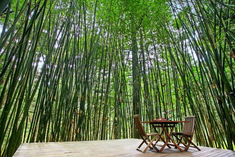 Azabu Retreat & Spa - Accommodation Bookings 1