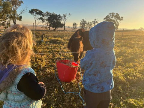 Avondale Heights By Tiny Away - Accommodation Bookings 4