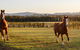 Argentille Boutique Accommodation - thumb 1