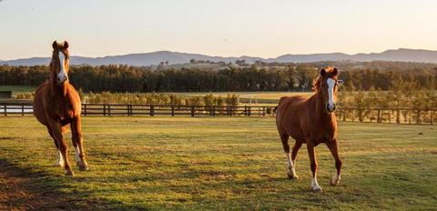 Argentille Boutique Accommodation - Accommodation Bookings 1