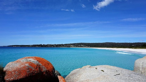 BAY OF FIRES BEACH SHACK Ocean Views From A Modern Beachhouse - Accommodation Bookings 3