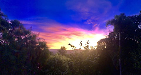 Daintree Manor B&B - Accommodation Bookings 3