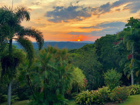 Daintree Manor B&B - Accommodation Bookings 13