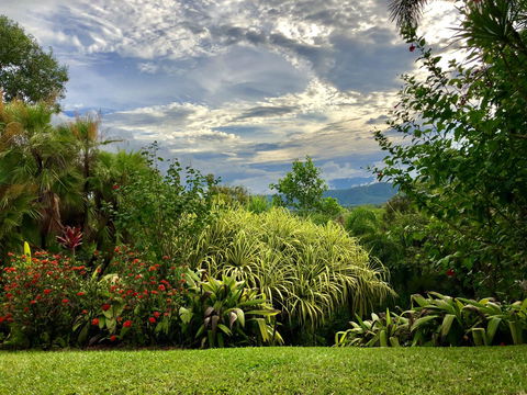 Daintree Manor B&B - Accommodation Bookings 2